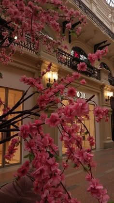 pink flowers are blooming in front of a building