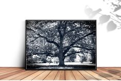 a black and white photo of a tree on a wooden floor in front of a wall