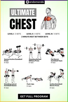 the ultimate chest workout guide for beginners to gain their upper and lower body muscles