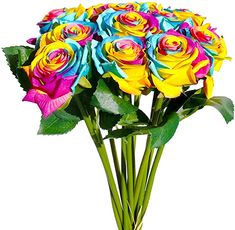 a bouquet of multicolored roses in a vase on a white background with green stems