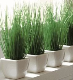 three white planters filled with green grass on top of a window sill next to a wall