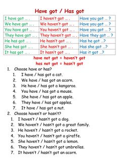 a printable worksheet with the words have got / has got