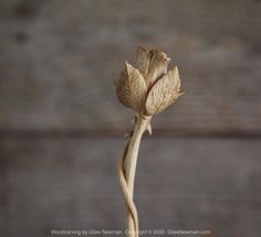 a dried flower on a wooden table