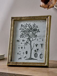 an old tree is framed in a gold frame on a wooden table next to some books