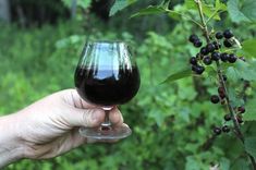 a person holding a wine glass in their hand with berries on the vine behind them