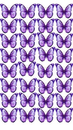 many purple butterflies are arranged in rows on a white background, the image is made up of