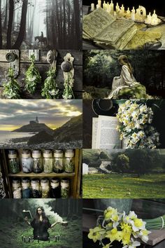 a collage of images with flowers and pictures on them, including an open book