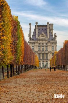 people walking in front of a large building with trees lining the walkway and leaves on the ground