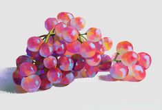 a bunch of grapes sitting next to each other on a white surface with the sun shining through them