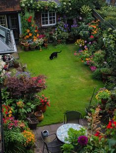 an aerial view of a garden with flowers and a black cat