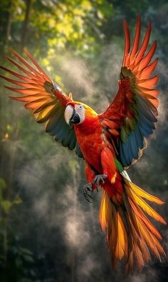 a red and yellow parrot flying through the air