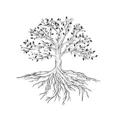 a black and white drawing of a tree with roots