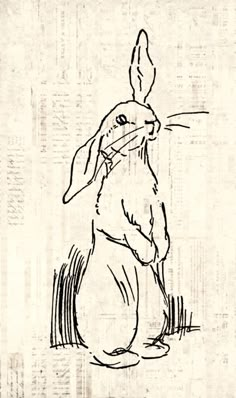 a black and white drawing of a rabbit