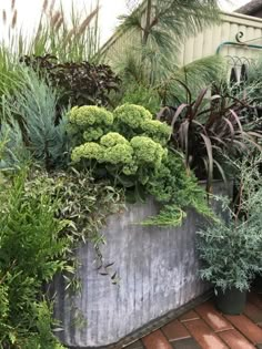 an assortment of plants are in pots on the side of a house's driveway