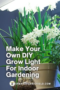 some white flowers are in a pot on a table with the words make your own diy grow light for indoor gardening