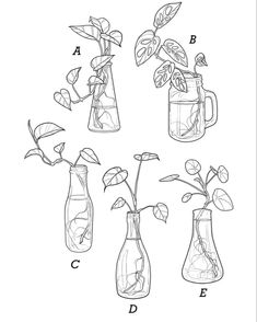 four vases with plants in them and the letters d, b, c, e