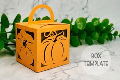 an orange box sitting on top of a table next to some green plants and leaves