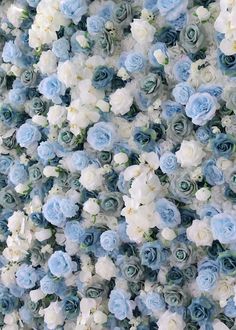 many blue and white flowers are arranged together