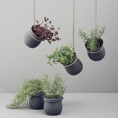 three hanging planters with plants in them