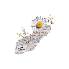 an altered collage of newspaper and flowers with the words i'd be a fool not to love you