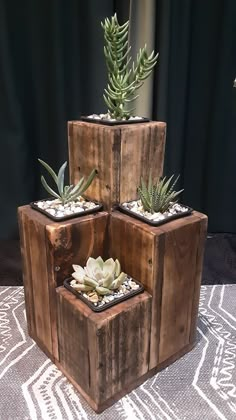 three wooden blocks with succulents in them