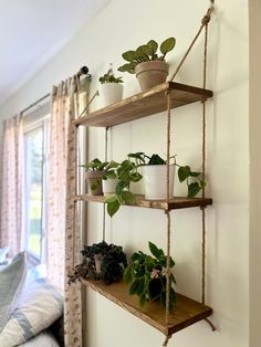 three shelves with plants on them hanging from the wall