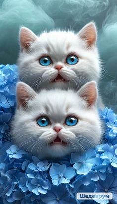 two white kittens with blue eyes are sitting in flowers