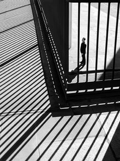 a person walking down a sidewalk next to a metal fence with long shadows on it