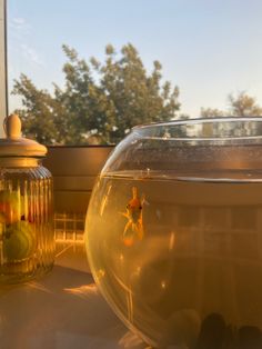 a fish in a bowl sitting next to a window