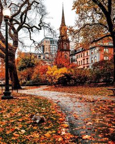 an autumn scene with leaves on the ground and trees in the foreground, and a church steeple in the background