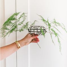 a hand is holding a wire sculpture with green plants in front of the wall behind it