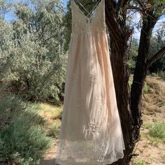 a dress hanging from a tree in the woods