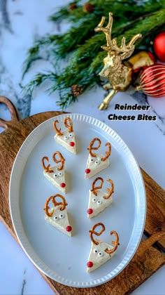 reindeer cheese bites are arranged on a white plate