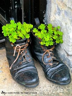 pair of black shoes with green plants growing out of them on the ground next to a door