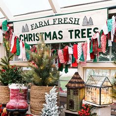 christmas trees and other holiday decorations are on display in front of a farm fresh store