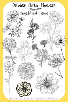 an image of flowers in black and white with the words october birth flowers on it