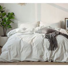 a cat laying on top of a bed next to a potted plant and framed pictures