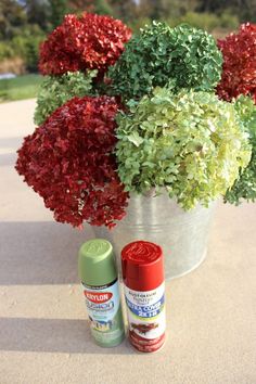 red and green flowers in a bucket with spray paint on the ground next to it