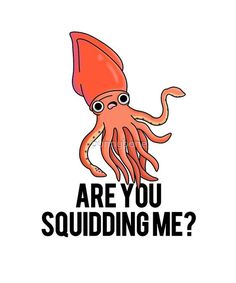 an orange squid with the words are you squidding me?