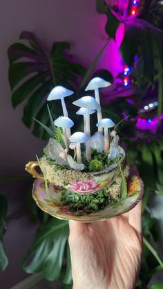 a hand holding a glass plate with mushrooms on it and moss growing out of the top