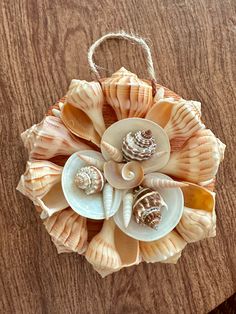 several seashells are arranged in the shape of an ornament on a wooden table