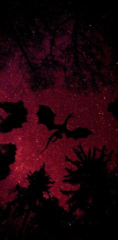 the silhouettes of trees and bats against a night sky filled with stars in the distance