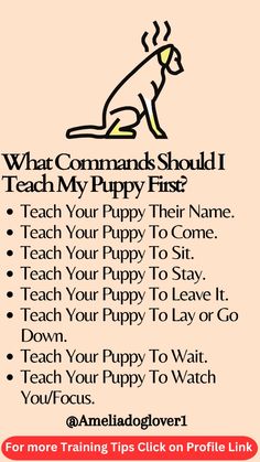 a poster with the words what commands should teach my puppy first? and an image of a