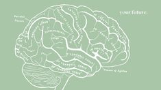 a diagram of the human brain on a green background with words written in white ink