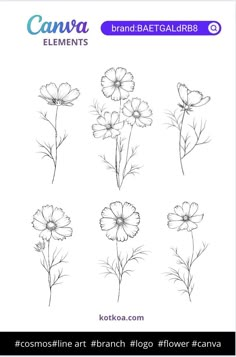 some flowers that are drawn in black and white, with the words canna elements