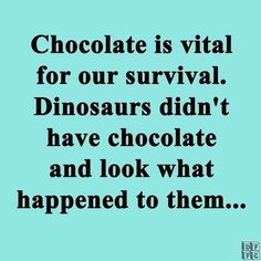 chocolate is vital for our survival dinosaurs didn't have chocolate and look what happened to them