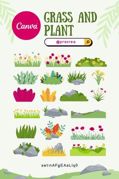 grass, plant, rock, leaf, leaves, flower, lawn, yard, outdoor, land, meadow, nature, turf, natural, fresh, environment, grow, park, Violet Evergarden Wallpaper, Children's Book Layout, Pamphlet Design, Graphic Design Cards, Infographic Poster, Unicorn Illustration