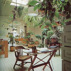 a room filled with lots of potted plants next to a wooden table and chairs