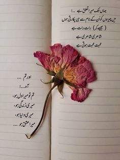 Allama Iqbal Poetry In Urdu Love, Love Quotes For Her In Urdu, Beautiful Couple Quotes, Written Quotes, Love Poetry In Urdu, One Word Instagram Captions, Self Respect Quotes, Novelist Quotes, Wedding Card Frames