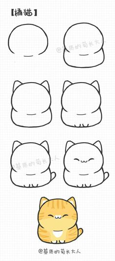 the instructions for how to draw a cartoon cat with different facial expressions and head shapes